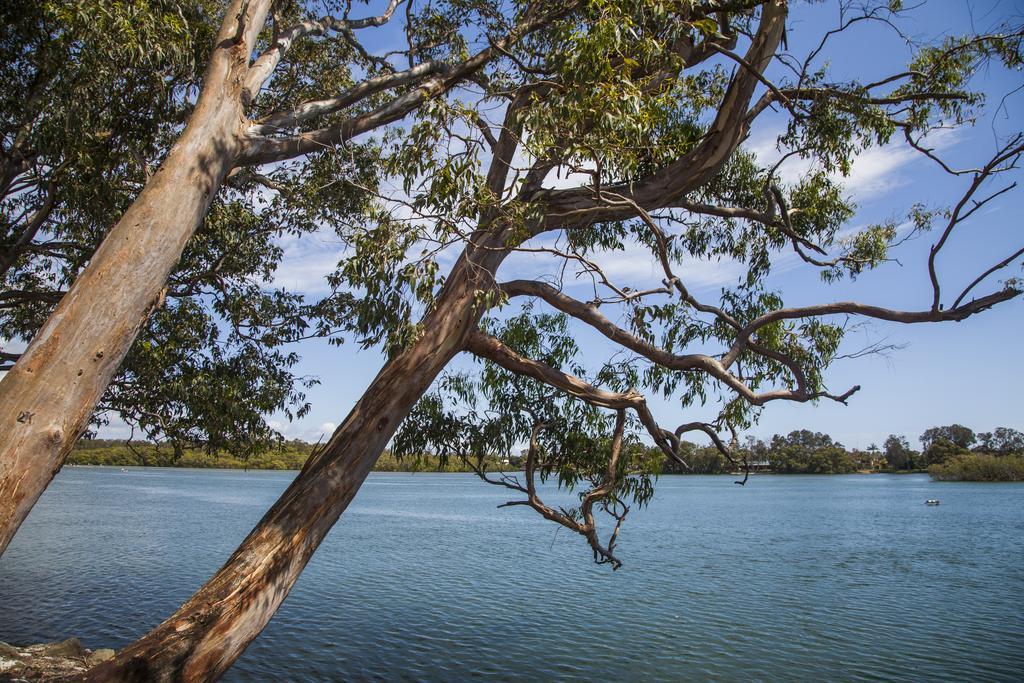 Colonial Tweed Holiday & Home Park Tweed Heads Buitenkant foto
